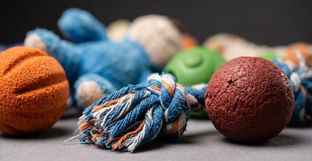 Gros plan sur des jouets colorés pour chien disposés sur le sol lors d'un exercice de discrimination d'objets